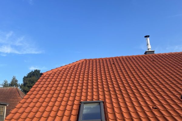 IMG_3515