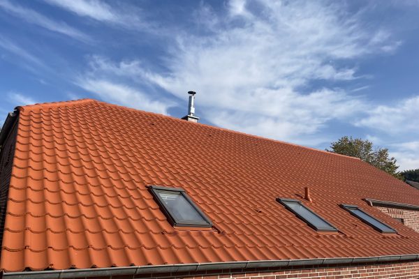 Reinigung von Dachrinnen mit modernem Saug- und Spülsystem